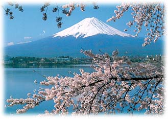 mt.fuji.JPG